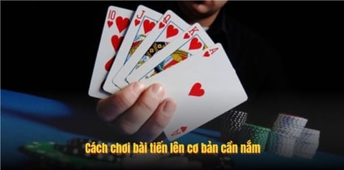 1-W9xFozKT6h.jpg