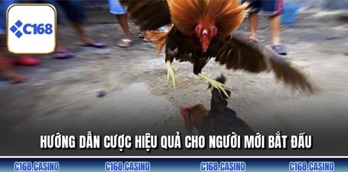 6-bYvlvM_OsW.jpg