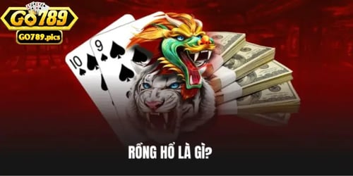 Ban-can-nam-ro-khai-niem-rong-ho-la-gi-truoc-khi-tham-gia-choi-chinh-thuc-hTJYqLoYFs.webp