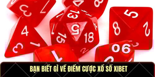ban-biet-gi-ve-diem-cuoc-xo-so-xibet-pMmdQ0llNS.jpg