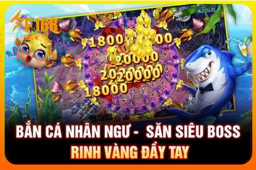 ban-ca-nhan-ngu-km2osEeYdf.jpg