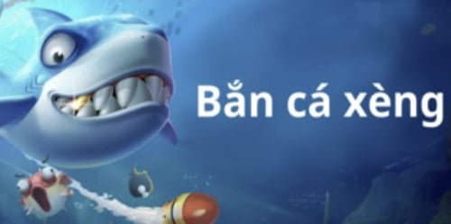 ban-ca-xeng-1-HfqUoeGX0S.png