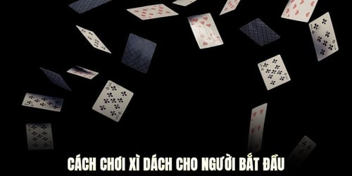 cach-choi-xi-dach-cho-nguoi-bat-dau-8keeUzFIat.jpg