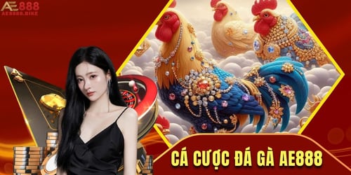 cap-nhat-cac-tran-dau-choi-ga-hap-dan-CEE9TpJgBV.jpg
