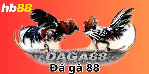 chien-thuat-choi-da-ga-truc-tuyen-tai-hb88-wz-9Gc3A-2.jpeg