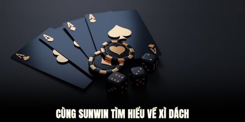 cung-sunwin-tim-hieu-ve-xi-dach-pxccbUieAH.jpg