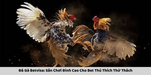 da-ga-betvisa-1-MXIq5wTwy2.jpg