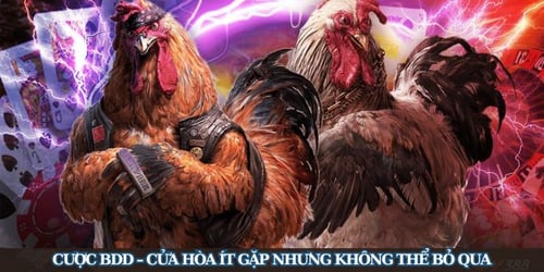 da-ga-bj39-3-gq0aIH0r0_.jpg
