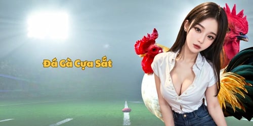 da-ga-cua-sat-debet-5eZwrFfAEF.jpg