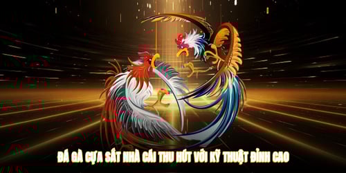 da-ga-cua-sat-nha-cai-thu-hut-voi-ky-thuat-dinh-cao-09DnHrWCc9.jpg