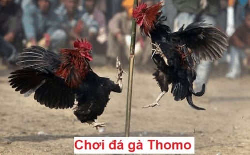 da-ga-fb88-2-iBTsRFrLvK.png