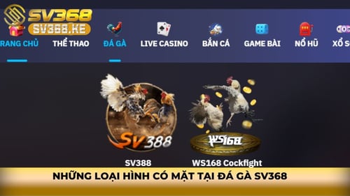 da-ga-sv368-1-nZPeFWxG3x.jpg