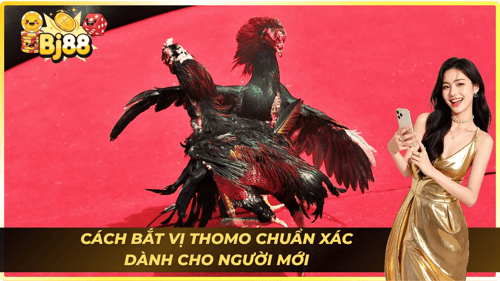 da-ga-thomo-3-3ZOdP79oK9.png