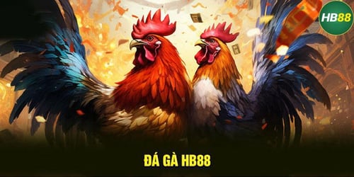 da-ga-truc-tuyen-tai-hb88-la-gi-tai-sao-da-ga-truc-tuyen-tai-hb88-lai-duoc-yeu-thich--hRO-tMdQVA.jpg
