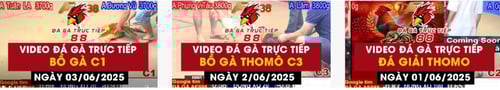 daga88-Ve2a10rcOx.jpg