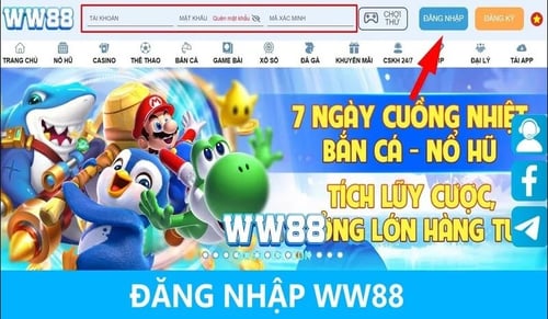 dang-nhap-ww88-_YNr3nT14t.jpg