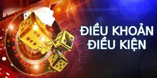 dieu-khoan-va-dieu-kien-99ok-1-wyE7Q0O34M.jpg