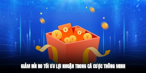 giam-rui-ro-toi-uu-loi-nhuan-trong-ca-cuoc-thong-minh-t2xUNkq-Gm.jpg