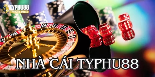 gioi-thieu-thuong-hieu-typhu88-qqSmETPdyE.webp