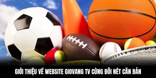 gioi-thieu-ve-website-2-Is5jb6lYtN.webp