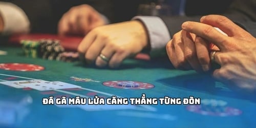hi88-2-JKEWU9tabV.jpg