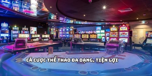 Cá cược thể thao đa dạng, tiện lợi