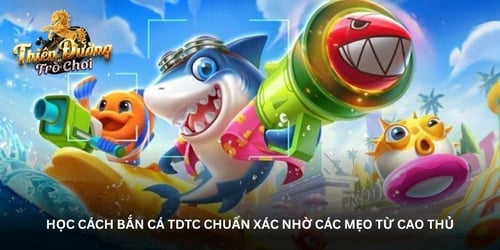 hoc-cach-ban-ca-tdtc-chuan-xac-nho-cac-meo-tu-cao-thu-J7A7oszFOg.jpg