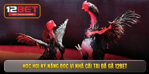 hoc-hoi-ky-nang-doc-vi-nha-cai-tai-da-ga-12bet-SDfKNIYOiv.jpg