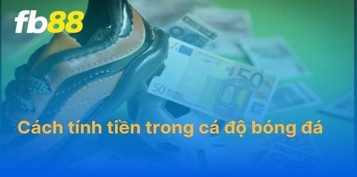 huong-dan-cach-tinh-tien-thang-thua-khi-ca-cuoc-tai-fb88-ko65S5rb-t.jpg