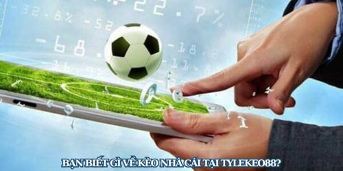 keo-nha-cai-2-1LxDvBdD4e.jpg