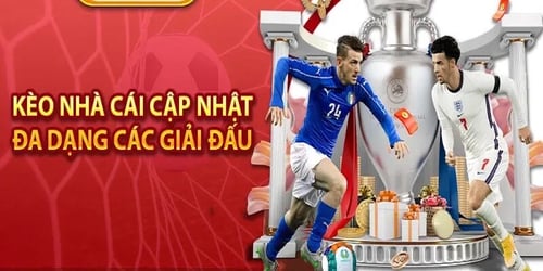 keo-nha-cai-luu-y-T1k8wrVcoX.jpg