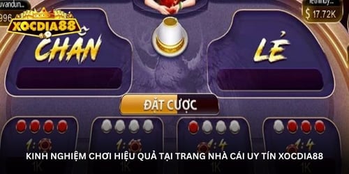 kinh-nghiem-choi-hieu-qua-tai-trang-nha-cai-uy-tin-xocdia88-JKoeA2_Jxv.jpg