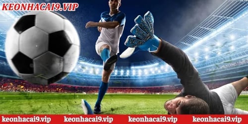 loi-ich-khi-theo-doi-50QoW_6FS6.webp