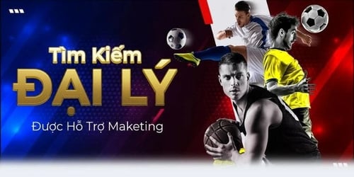 Luôn nhận được sự hỗ trợ để hoạt động hiệu quả