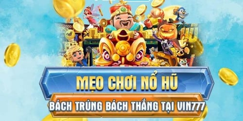 meo-choi-no-hu-AYYfjZ3gIA.jpg