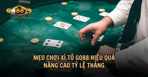 meo-choi-xi-to-go88-ga8KLzHek2.jpg