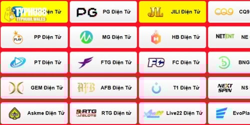 nha-cung-cap-tro-choi-da-dang-8Tb0Hus1tv.webp