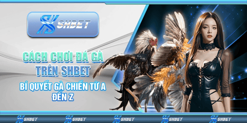 shbet-1-dq1ZKUaedD.png