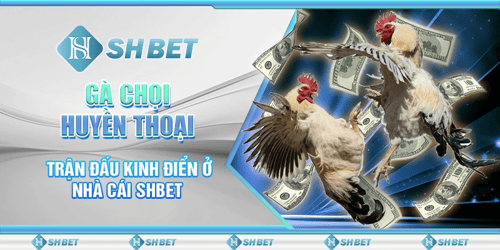 shbet-2-ripvp7Kzk3.png