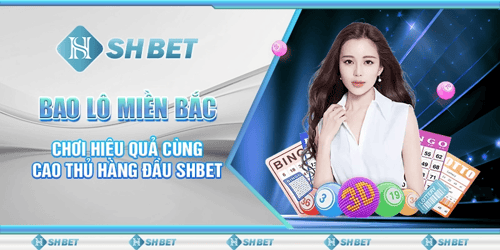 shbet-aCwE9T3hYt.png