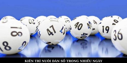 soi-cau-dan-de-49-con-five88-4-EtRA0jPNlI.jpg