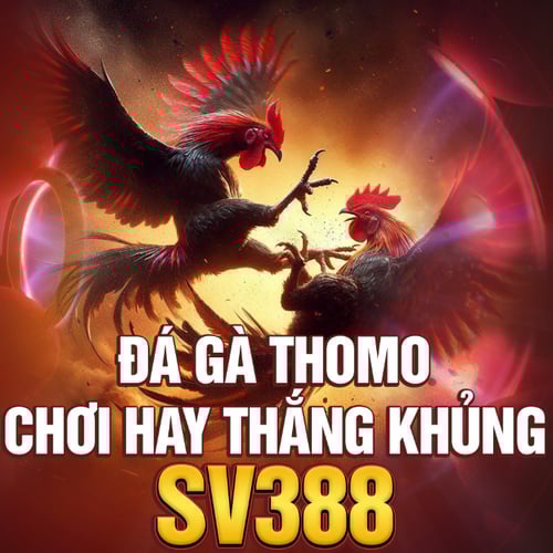 sv388-1-kUX19sqlo-.png