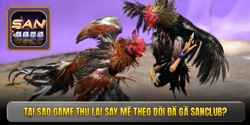 tai-sao-game-thu-lai-say-me-theo-doi-da-ga-sanclub-EetsQmlIie.jpg