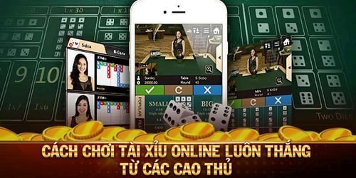 tai-xiu-tdtc-3-nSe5j1ZA4S.jpg