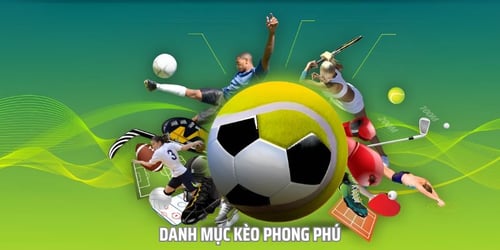 the-thao-rwin-2-0ntboxa5Ok.jpg