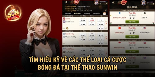 Thông tin chi tiết về các thể loại cá cược bóng đá tại Sunwin
