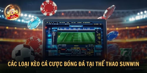 Thể thao Sunwin cung cấp nhiều loại kèo cá cược hấp dẫn