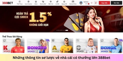 thong-tin-nha-cai-co-thuong-lon-CKmO2PEuPy.jpg