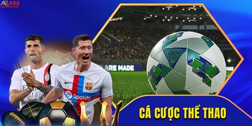 thu-suc-voi-ca-cuoc-the-thao-oWc-Uzs2bN.jpg