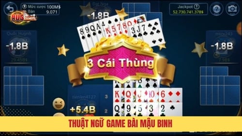 thuat-ngu-game-bai-mau-binh-DIJYY3DcMY.jpg